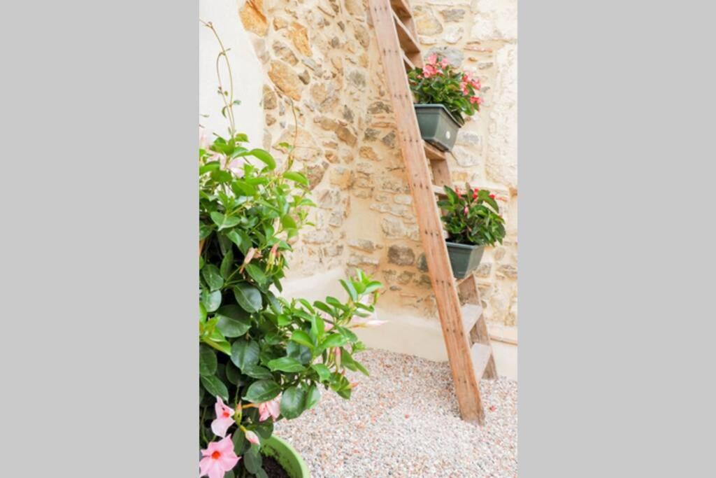 La Porte Du Midi *